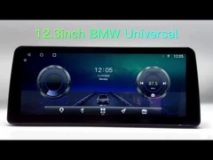 universale 12,3 pollici